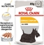 Attēls no Royal Canin ROYAL CANIN CCN Dermacomfort 12x85g karma mokra - pasztet dla psów dorosłych o wrażliwej skórze, skłonnej do podrażnień