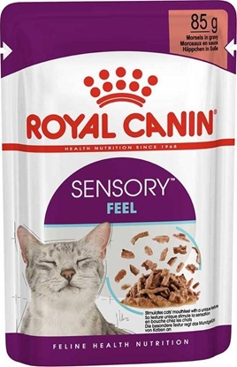 Attēls no Royal Canin ROYAL CANIN Sensory Feel Gravy 85g Mokra Karma Dla Kotów Wybrednych