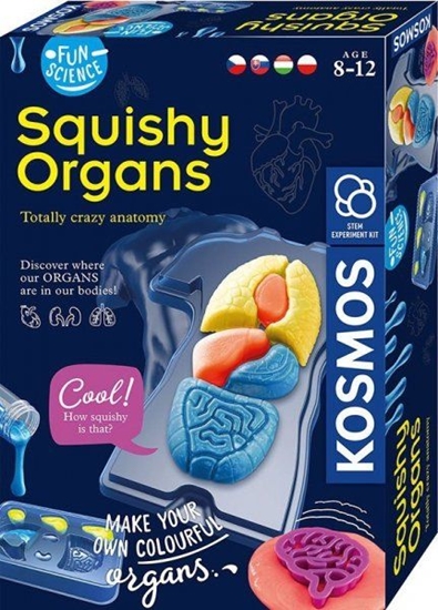 Picture of Russell Zestaw naukowy Fun Scienc-Squishy Organs