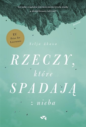 Picture of Rzeczy, które spadają z nieba