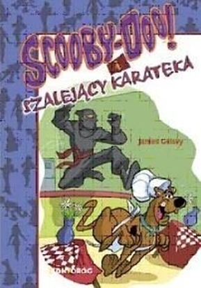 Attēls no Scooby-Doo! I Szalejący Karateka