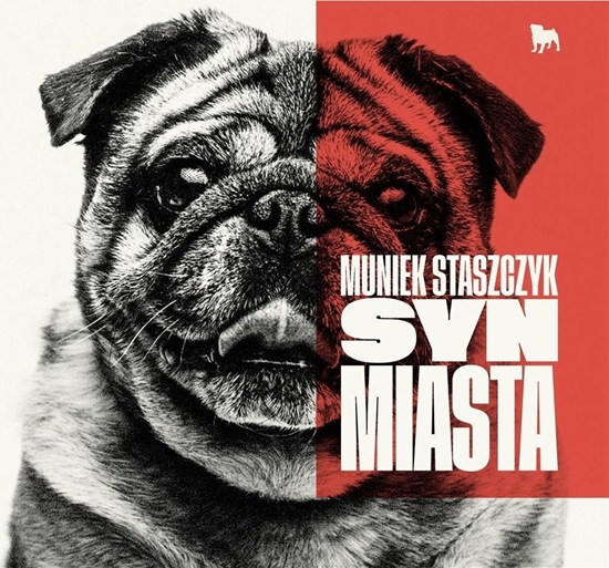 Picture of Syn miasta CD