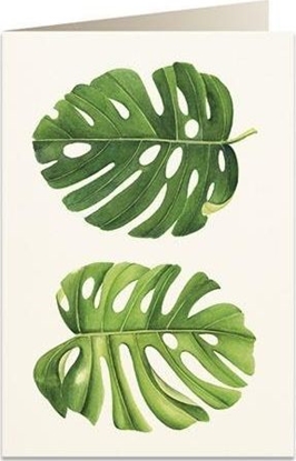 Picture of Tassotti Karnet B6 + koperta 6015 Monstera