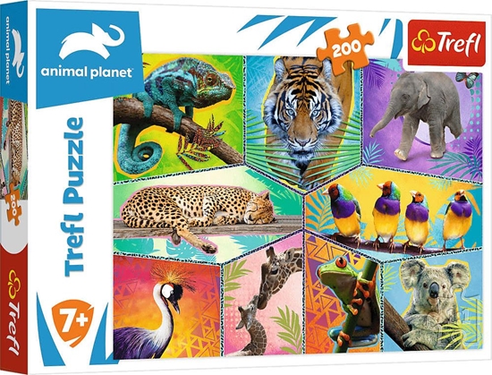 Изображение Trefl Puzzle 200el W egzotycznym świecie. Discovery Animal Planet 13280 Trefl p12