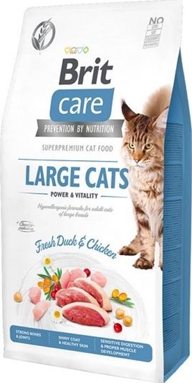 Изображение VAFO PRAHS BRIT CARE KOT LARGE CATS 2KG POWER & VITALITY GF