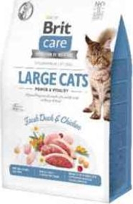 Attēls no VAFO PRAHS Brit Care Kot Large Cats 7kg Power & Vitality Gf