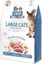 Изображение VAFO PRAHS Brit Care Kot Large Cats 7kg Power & Vitality Gf