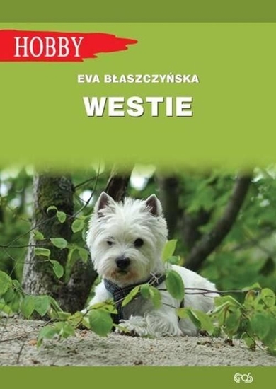 Picture of Westie. West highland white terrier