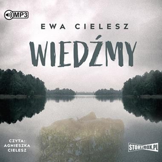 Изображение Wiedźmy audiobook