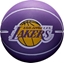 Attēls no Wilson Wilson NBA Dribbler Los Angeles Lakers Mini Ball WTB1100PDQLAL Fioletowe One size