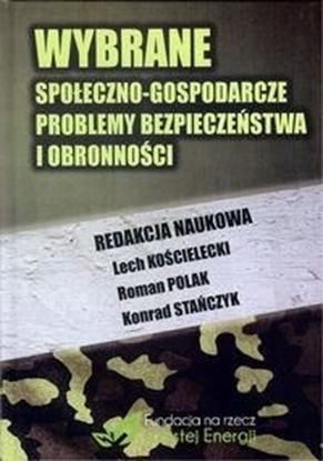 Изображение Wybrane społeczno-gospodarcze problemy bezp. ...