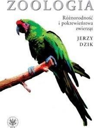 Picture of Zoologia. Różnorodność i pokrewieństwa zwierząt