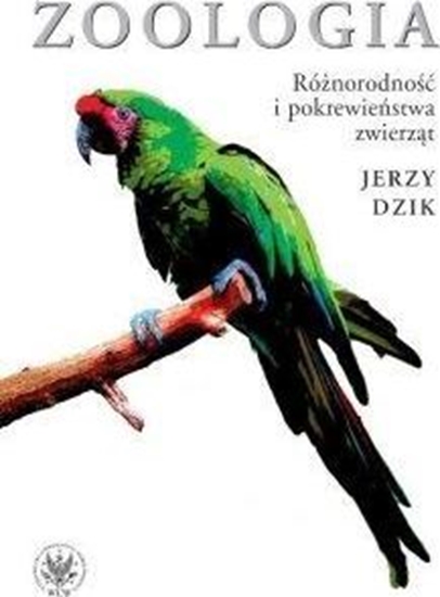 Изображение Zoologia. Różnorodność i pokrewieństwa zwierząt