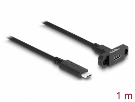 Изображение Delock SuperSpeed USB 10 Gbps (USB 3.2 Gen 2) Cable USB Type-C™ male to female 1 m panel-mount black