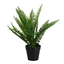 Attēls no Mākslīgie ziedi 4Living Fern bush 36cm