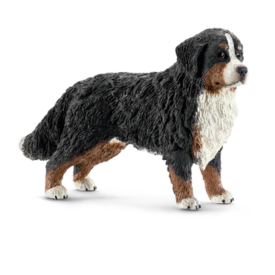 Изображение schleich Farm World Bernese Mountain Dog, Female