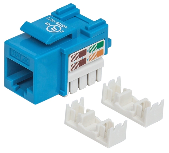 Picture of Intellinet Keystone Jack, Cat5e, UTP, Punch-down, Blue