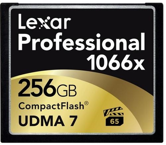 Picture of Lexar CF 256GB CompactFlash