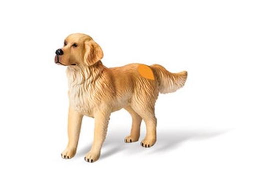 Picture of Ravensburger tiptoi: Golden Retriever