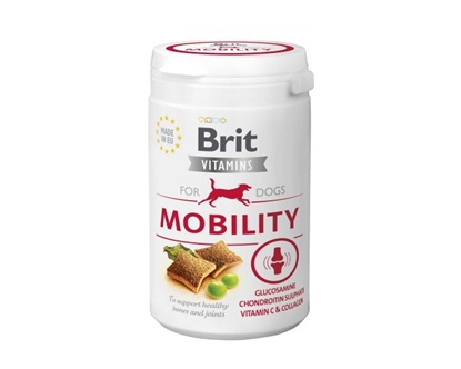 Attēls no BRIT Vitamins Mobility for dogs - supplement for your dog - 150 g