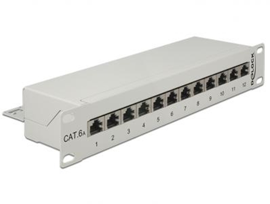 Picture of Delock 10 Patch Panel 12 Port Cat.6A grey