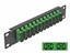 Attēls no Delock 10″ Fiber Optic Patch Panel 12 Port SC Duplex green 1U black