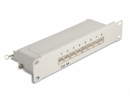 Attēls no Delock 10″ Patch Panel 8 port Cat.6A 1U grey