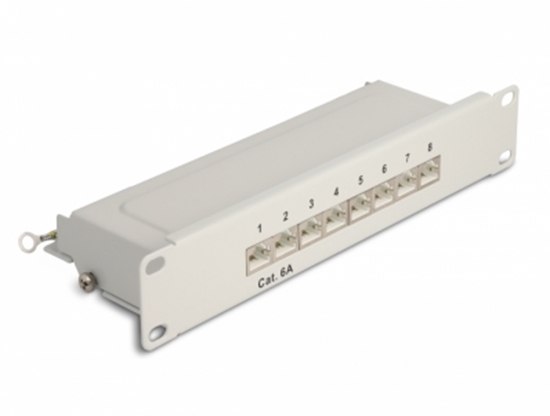 Picture of Delock 10″ Patch Panel 8 port Cat.6A 1U grey