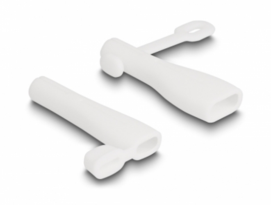 Picture of Delock Dust Cover for USB Type-A male and USB Type-C™ male set 2 pieces white