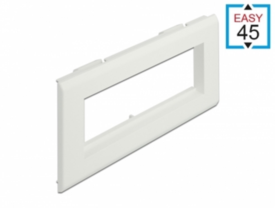 Picture of Delock Easy 45 Module Holder for installation trunking 175 x 80 mm