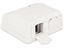 Picture of Delock Keystone Surface Mounted Box 2 Port with dust cover