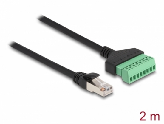 Picture of Delock RJ45 Cable Cat.6 plug to Terminal Block Adapter 2 m 2-part