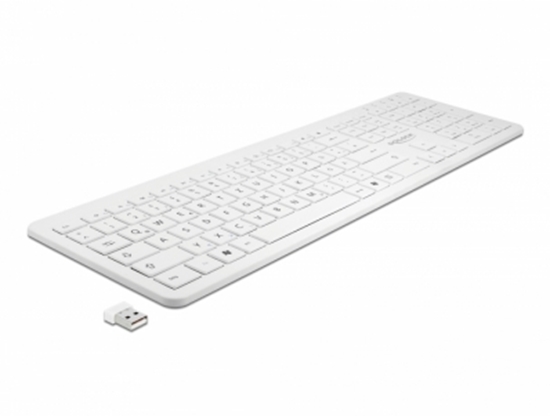 Picture of Delock USB Keyboard 2.4 GHz wireless white (flat)