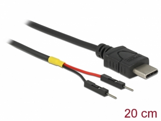 Изображение Delock USB Power Cable Type-C to 2 x pin header male separate power 20 cm