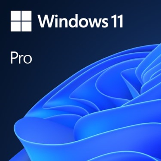 Picture of Microsoft Windows 11 Pro OEM