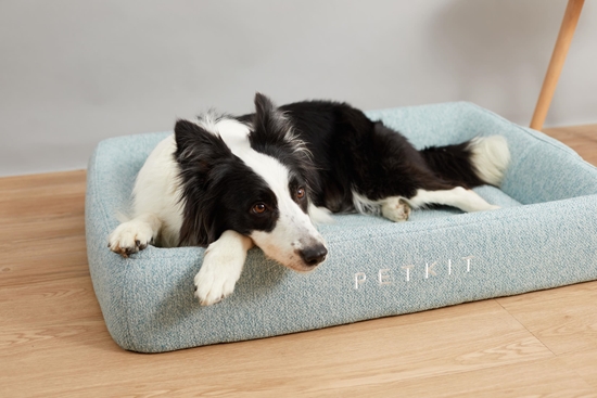 Picture of PETKIT | Deep Sleep All Season Pet Bed L | Green