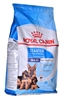 Picture of ROYAL CANIN SHN Maxi Starter Mother & Babydog - dry dog food - 4 kg