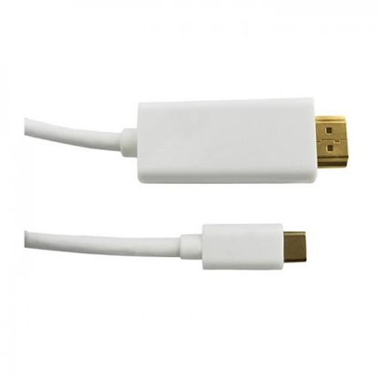 Picture of CMYK HL38874 video cable adapter 1 m HDMI Type A (Standard) USB Type-C White