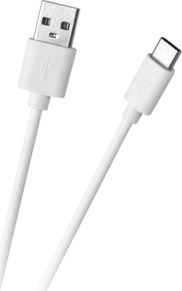 Изображение Kabel USB Foxconn USB-A - USB-C 1 m Biały (GSM1000W)