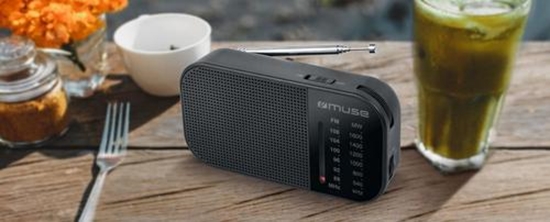 Изображение Radio Muse M-025 R