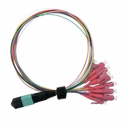 Attēls no VALUE MPO Fan-Out Cable 50/125µm OM4, MPO/12x LC, 2 m