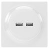 Picture of Fibaro Walli N USB Outlet | Fibaro | Walli N USB Outlet