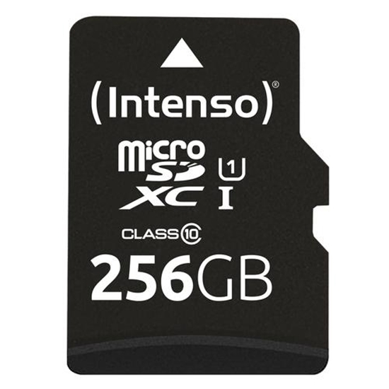 Picture of Intenso microSDXC          256GB Class 10 UHS-I U1 Performance