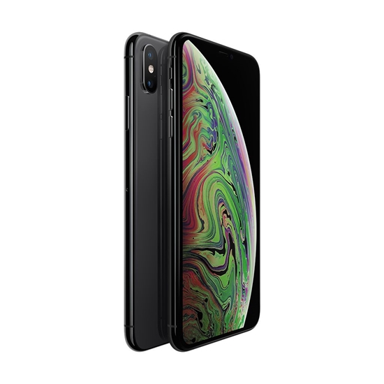 Изображение iPhone XS Max 64GB Space Gray (lietots, stāvoklis A)