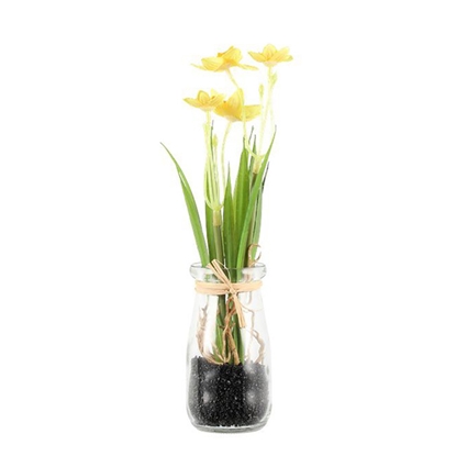 Picture of Mākslīgie augi 4Living Mini Narcises 22cm