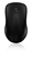 Picture of Rapoo 1620 Wireless Optical Mouse