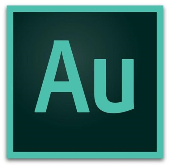 Изображение Adobe Audition 1 license(s) Subscription 1 year(s) 12 month(s)