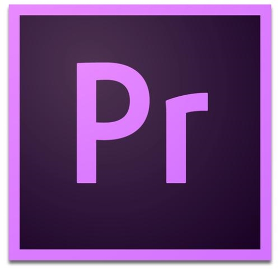 Picture of Adobe Premiere Pro CC 1 license(s) Subscription 1 year(s) 12 month(s)