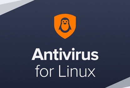 Picture of Avast Business Antivirus for Linux, New electronic licence, 1 year, volume 1-4, Price Per Licence | Avast | Business Antivirus for Linux | New electronic licence | 1 year(s) | License quantity 1-4 user(s)