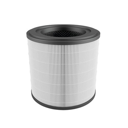 Picture of Electrolux EFFBRZ2 Air purifier filter